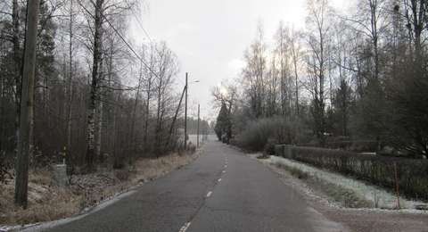 Kapeaa asfaltoitua tietä reunustavat puut ja tonttien pensasaidat. Tien reunassa on myös suojeltu Leinon tammi.